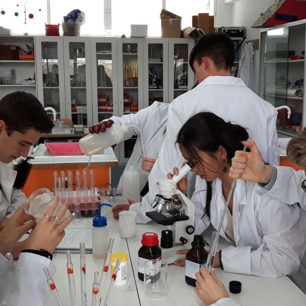 Colegio base madrid-Colegios Privados-Milla de Oro-Barrio Salamanca-imagen-3