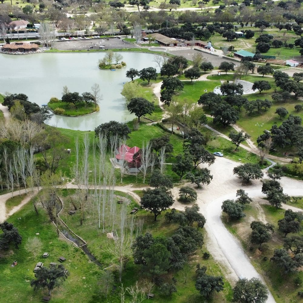 Club Las Encinas de Boadilla-Clubs Sociales y deportivos-Milla de Oro-Barrio Salamanca-imagen-1