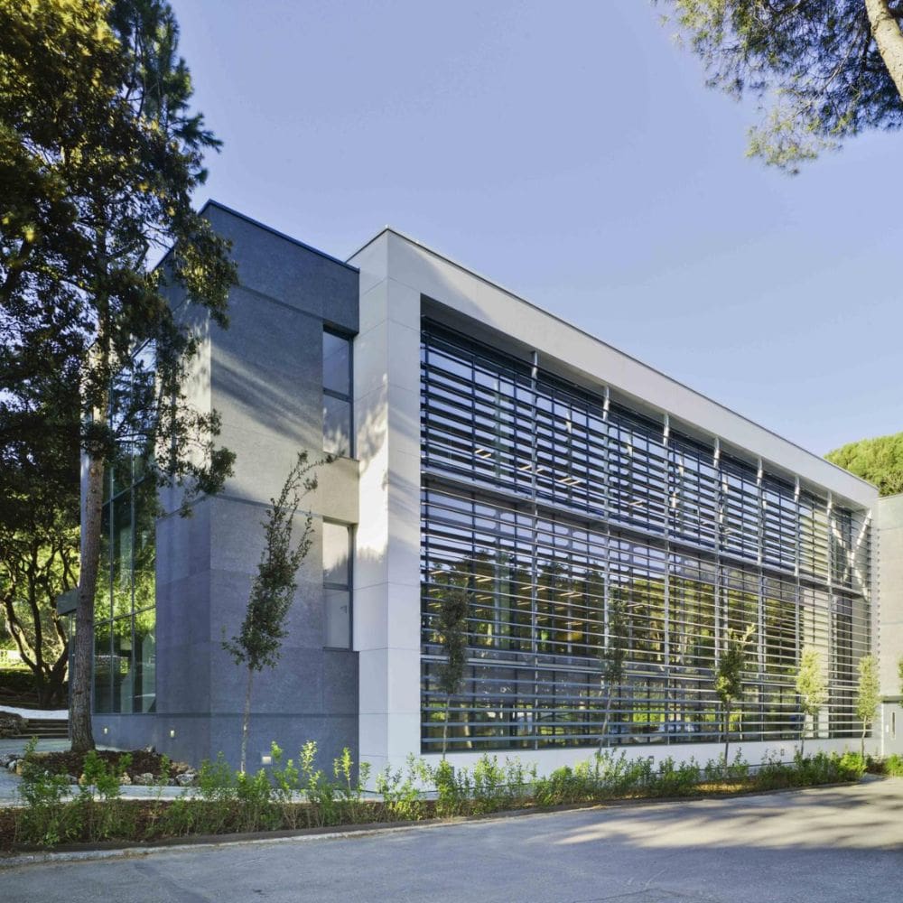 Liceo Europeo – Colegio International – La Moraleja – Imagen 2