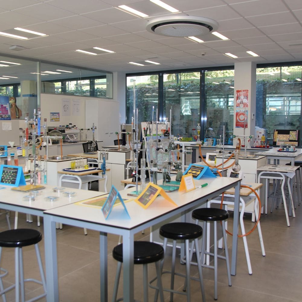 Liceo Europeo – Colegio International – La Moraleja – Imagen 3