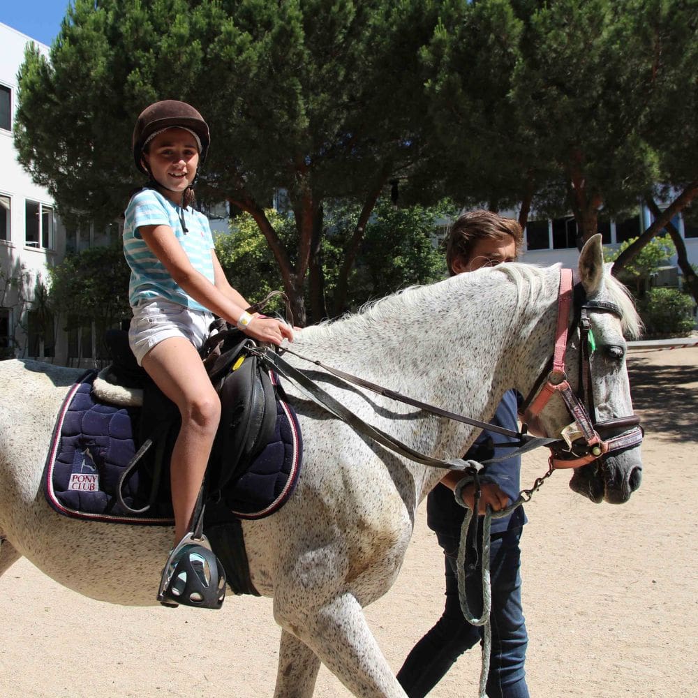 Liceo Europeo – Colegio International – La Moraleja – Imagen 5