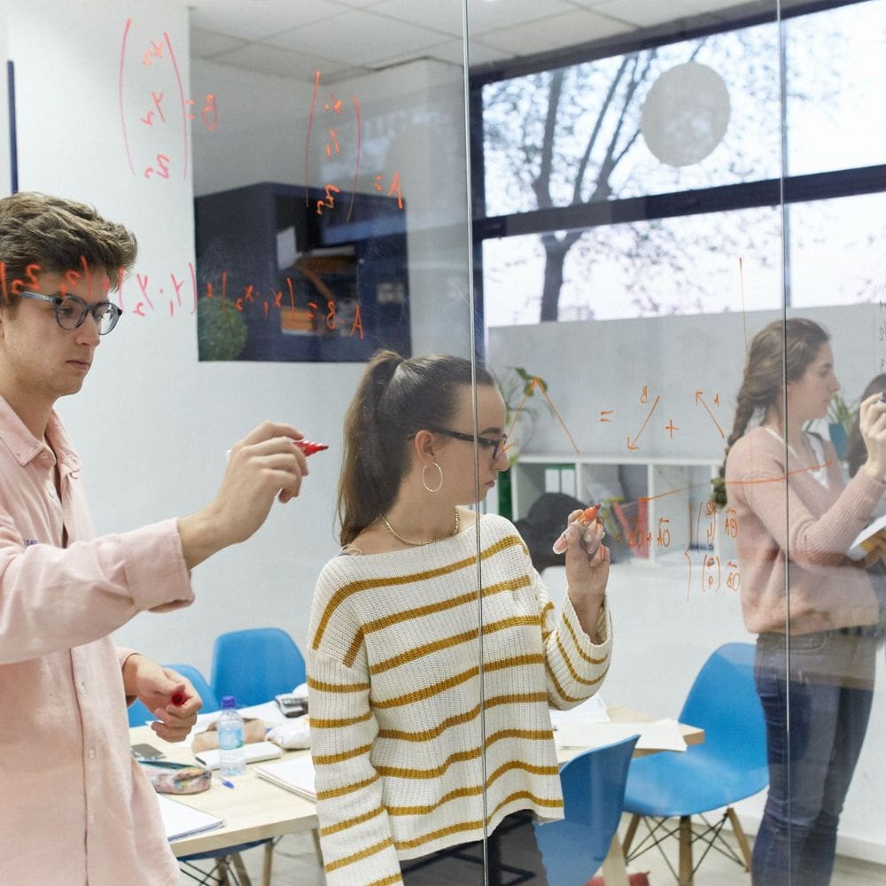 LMI International College -Colegios Privados Nuevo-La Moraleja-Comunidad de Madrid-2